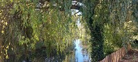 Parc de la Plage Bleue