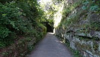 Chemin des insectes