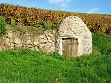 Cadole
