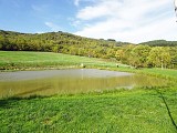 Etang de la Carelle