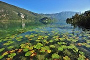Réserve Naturelle Régionale Lac d'Aiguebelette