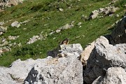 Lac des Cerces