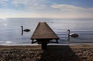 Plage du Champ de l'eau