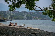 Plage de la Pinède