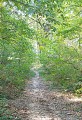 montée de l'Ollière