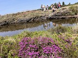 Lande St Laurent à La Roche l'Abeille