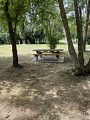 Sentier du bois des Guillots - Xambes