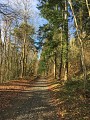 Montée vers St-Bonnet