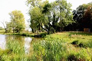 Etang
