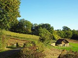 Vigne et pierres
