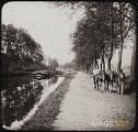 Halage d’une péniche par des chevaux vers 1894- 1905. Photographie de Guy Ro-partz