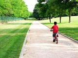 Dans le parc