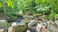 Ruisseau de la Grande Rivière