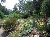 L'îloz' - Jardin d'Ailleurs ©
