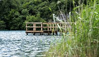 Baignade au lac de Virieu-le-Grand