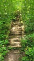 L'escalier