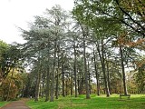 Allée du parc