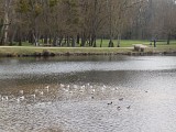2017-balades-a-roulettes-030