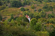 0715_AgenVallondeFonrochedepuisRuedeFouytePorc [ItiAqui]