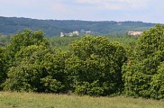 Point de vue de Delrieu