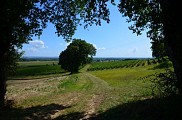 0669_CocumontPVLagravette