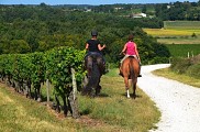 0674_CocumontCavalièresChemindeLabastide