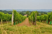 204_MontgaillardVignoble+ValléeGaronne [ItiAqui]