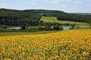 0268_LabastideSteGemmeMartaillacVuesurLacSteGemme