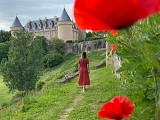 château Rochechouart