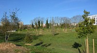 Arboretum