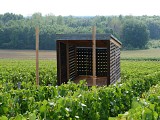 Loge de vignes - Le lit de vignes