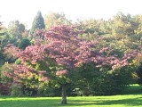 vallee-des-jardins-1