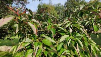 Vallée des jardins