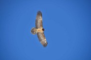 Parc National de la Vanoise