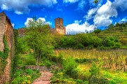 Office de Tourisme de la Vallée de Kaysersberg