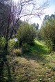Sausset: le bocage
