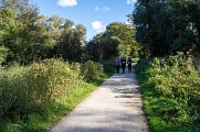 Sausset: le bocage