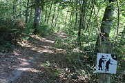 FORET_MIRAMBEL_SAINT_REMY_OTCHC (3)