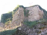 DSCN0944_web
