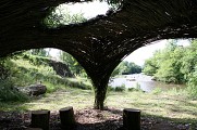 Jardin sauvage_3