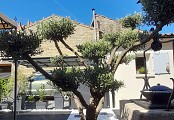 Sentier des gouffres - Les Gours