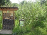 Jardins éphémères et maison de l'eau