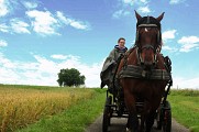 Sentier des Petits Noyers - Barbezières