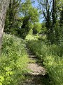 Chemin des sifflets