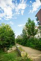 Le parc forestier