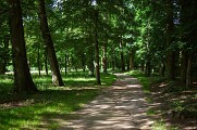 Le parc de Rémicourt