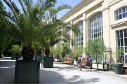 jardin-des-plantes-l-orangerie