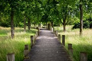 Le Parc des Etangs