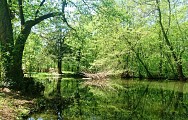 Parc du Domaine Saint Jean de Chépy