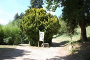 Sentier botanique du parc du Clos des Chartreux